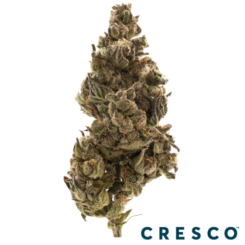 Cresco Liquid Live Resin Cartridge 500mg - London Lobster (I), Cresco