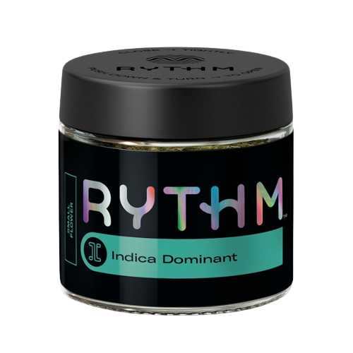 Afternoon Delight Hybrid Small Flower