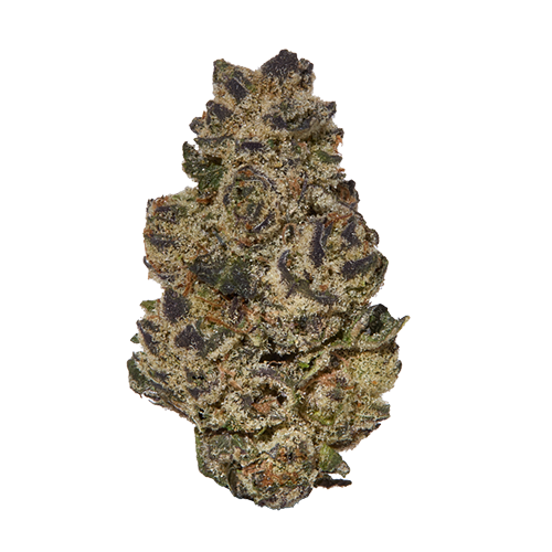 White Truffle Strain Indica by Cresco Labs