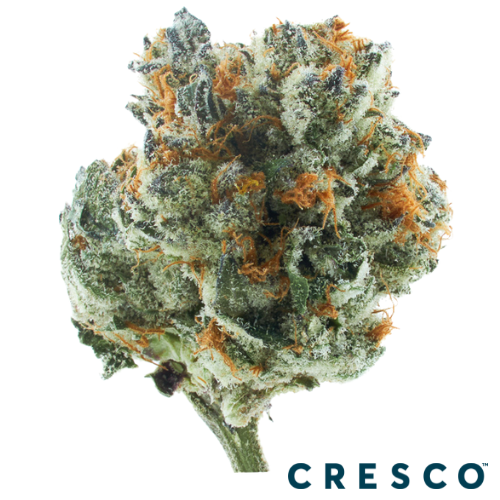 Red Pop Strain Indica by Cresco Labs
