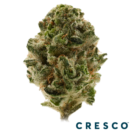 Cresco Live Budder 1g - Zweet Prple Majik (I), Cresco