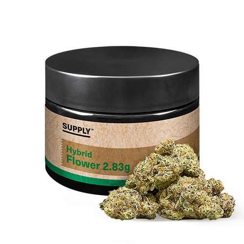 Miracle Alien Cookies Strain Hybrid Flower by Supply | Sunnyside