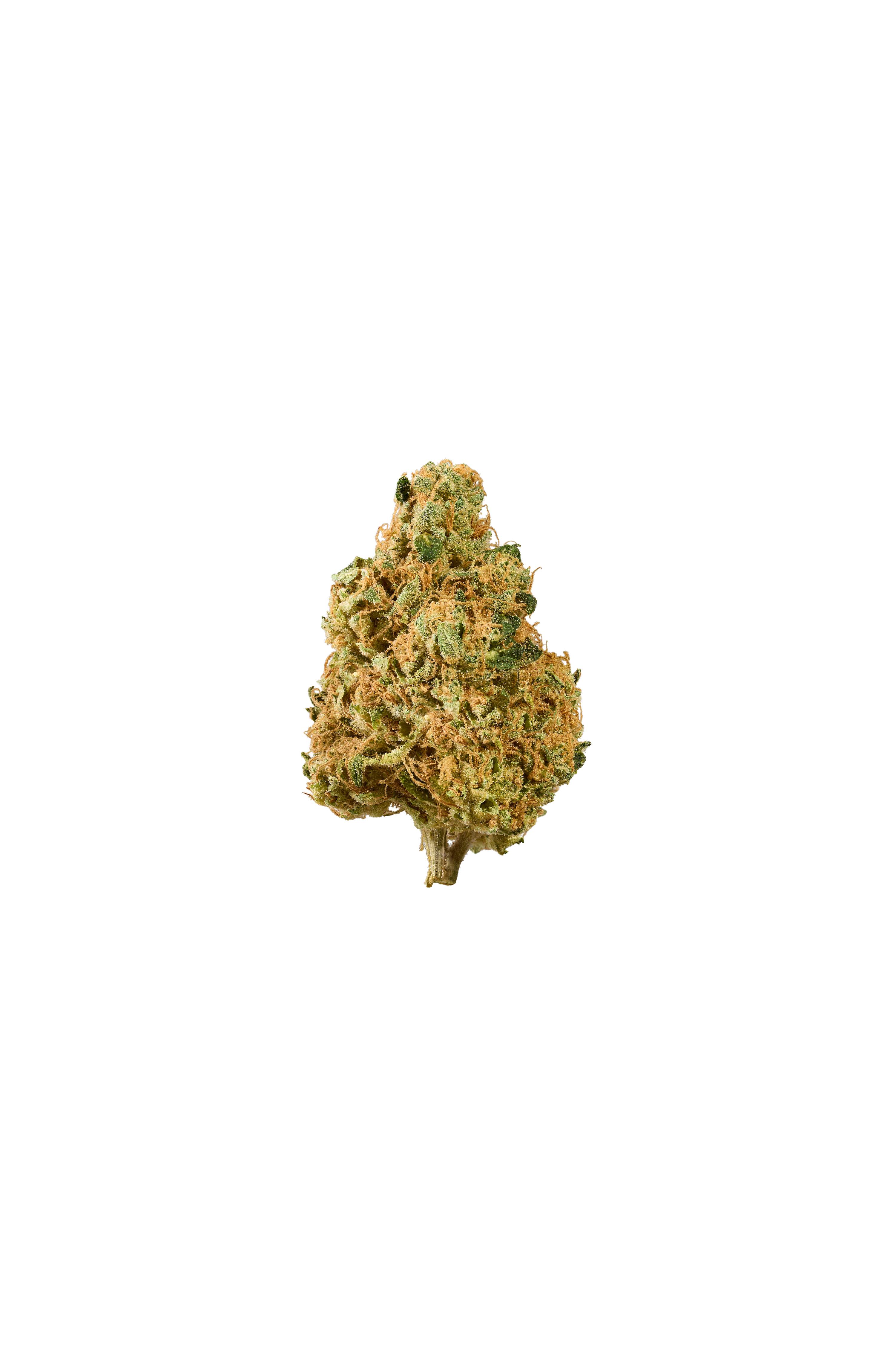 Chem Scout Strain Indica by Cresco Labs