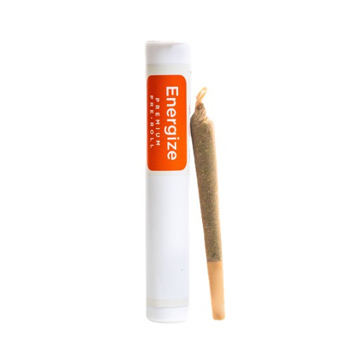 Cultivate Energize Sativa Preroll 1g - Tropicana Cookies - MA