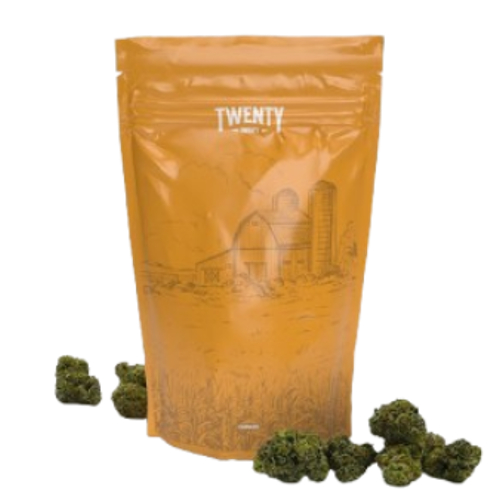 Goon Berries Popcorn Flower