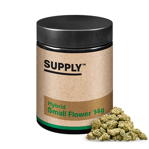 Supply Hybrid Small Flower 14g - Lemon Cherry Gelato - PA