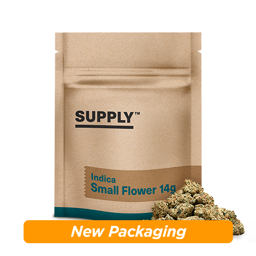 Guava Street Guru Small Flower