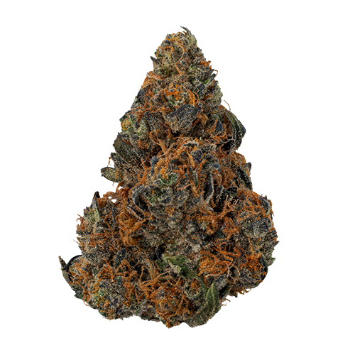Tinseltown Strain Indica by Cresco Labs