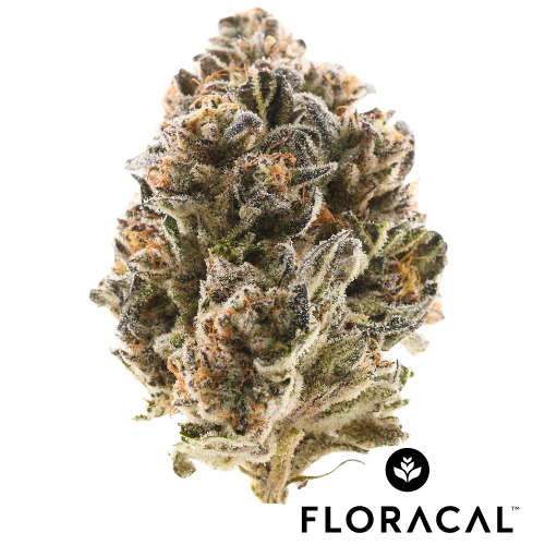 Slurricrasher Mints Strain Indica by Cresco Labs