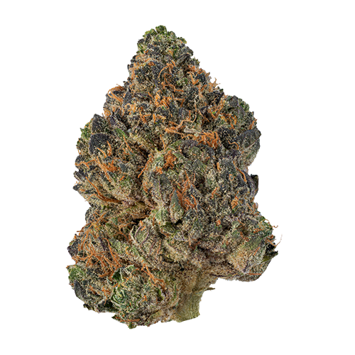 Zushi Strain Hybrid by Cresco Labs