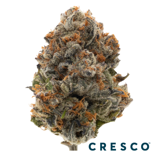 Cresco Liquid Live Resin Cartridge 1g - Lilac Diesel (S), Cresco