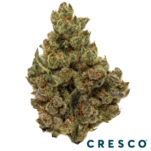 Cresco Live Budder 1g - Blue Zangria (I), Cresco