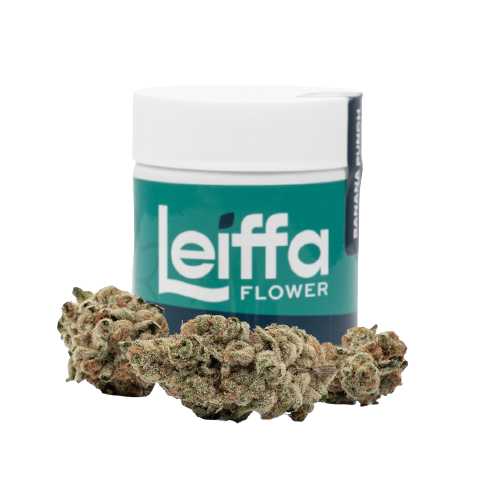 Govmint Oasis Flower