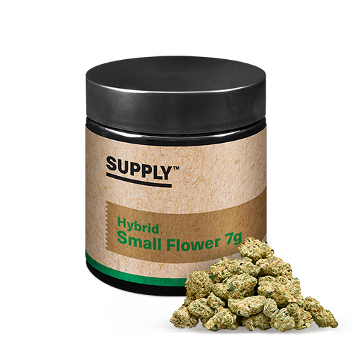 Supply Hybrid Small Flower 7g - Lemon Cherry Gelato - PA