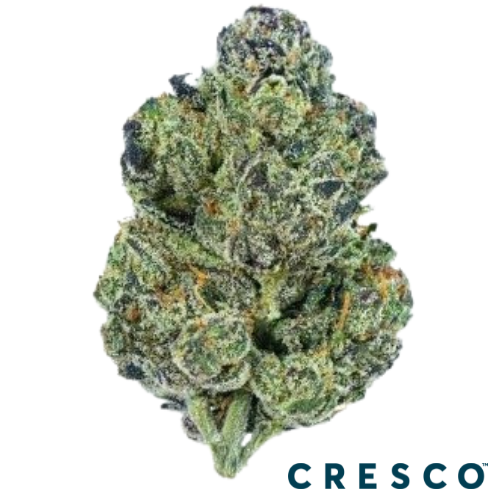 Zushi Strain Indica by Cresco Labs